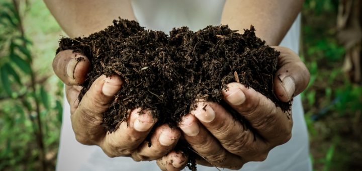 Compost pour le jardin