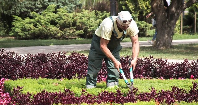 Service à la personne et travaux de jardinage : quelles sont les prestations autorisées ?