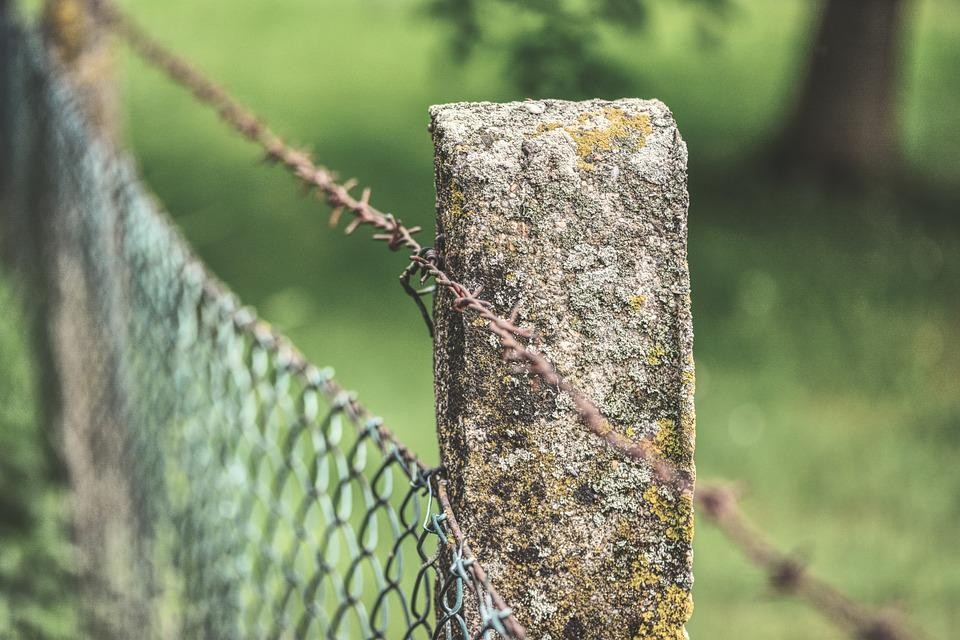 Bien choisir les piquets pour votre clôture