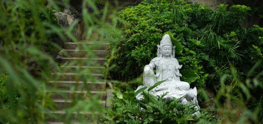 statue de Bouddha dans le jardin