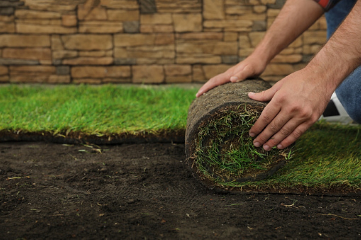 7 étapes à suivre pour préparer votre jardin à l'installation de gazon en plaques
