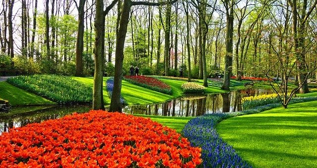Quelles plantes pour fleurir un talus ?