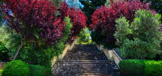 Des conseils pratiques pour réussir la création de votre escalier de jardin