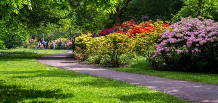 Qui paie les travaux d'entretien d'espace vert en copropriété ?