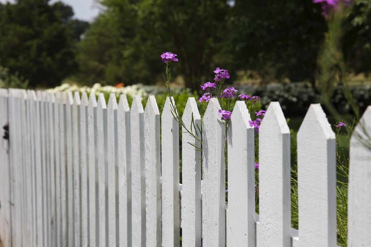 Barrière de jardin : avantages, matériaux, prix et installation