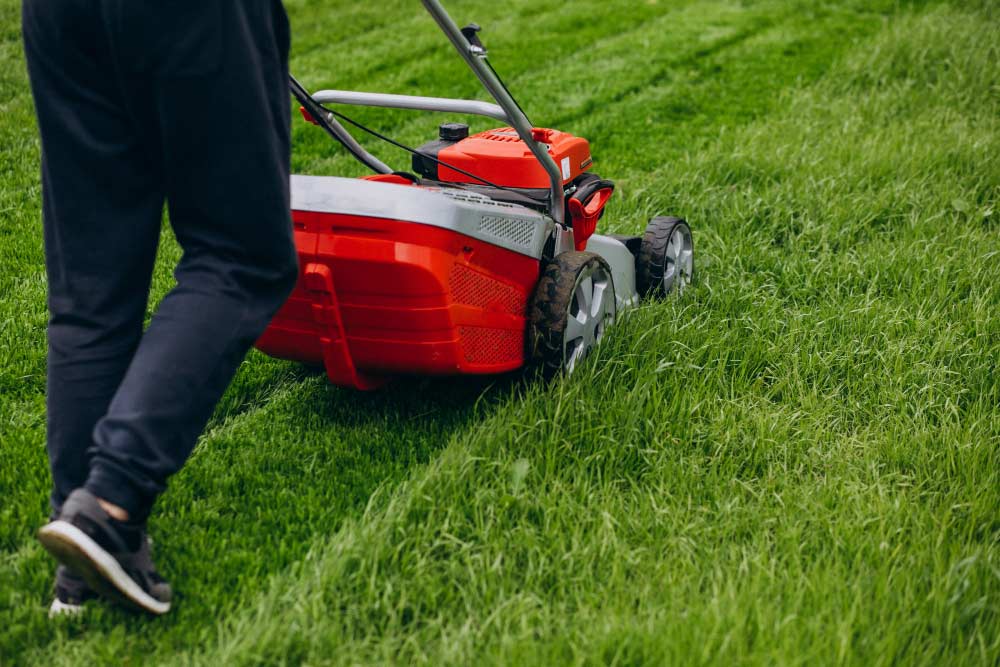 Conseils pratiques pour créer un jardin luxuriant avec un gazon bien entretenu
