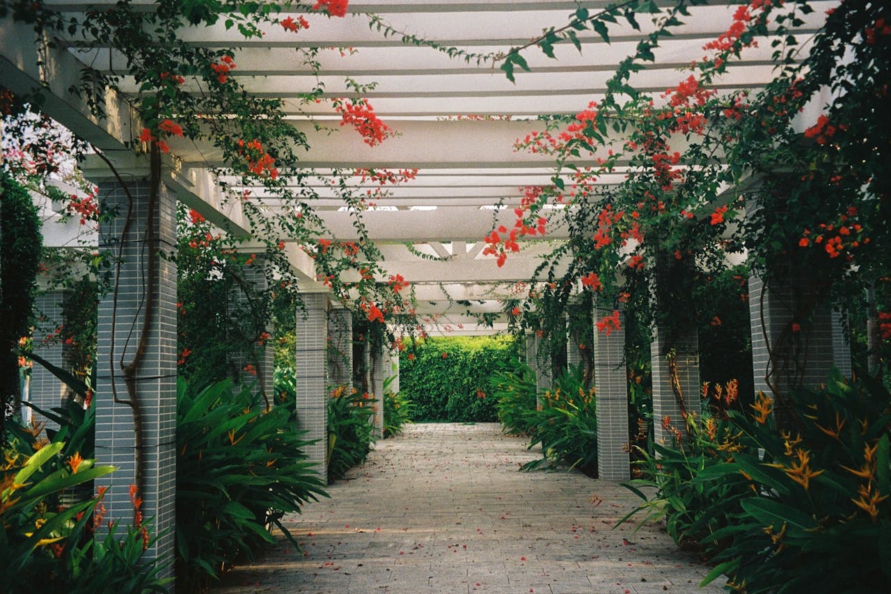 pergola