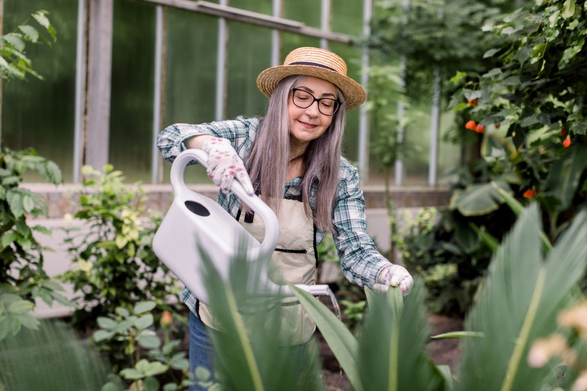 Protégez vos plantes : guide anti-parasites pour un jardin florissant