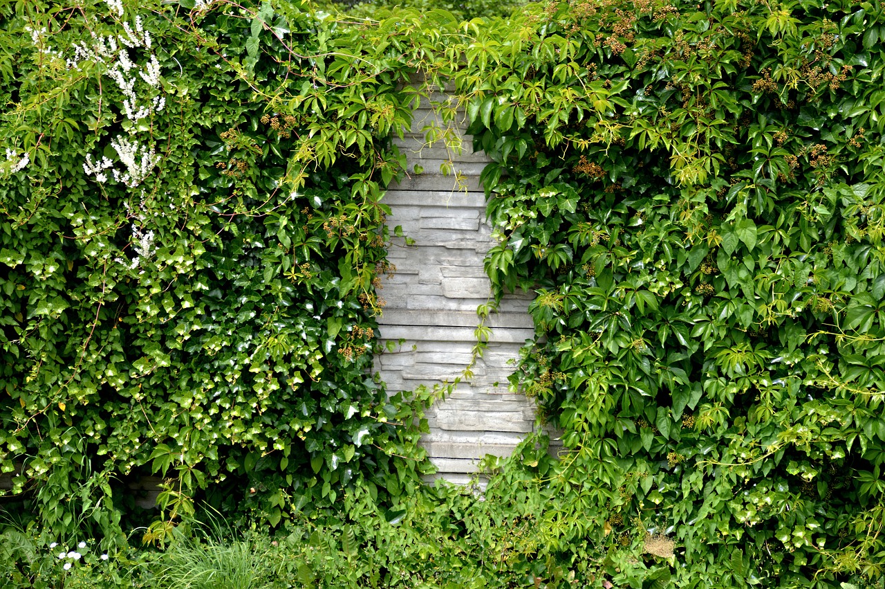 mur de jardin