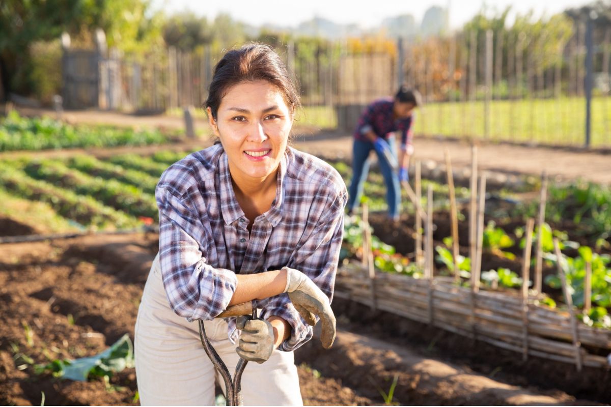 13-Organiser les saisons de plantation pour un jardin productif toute l'année