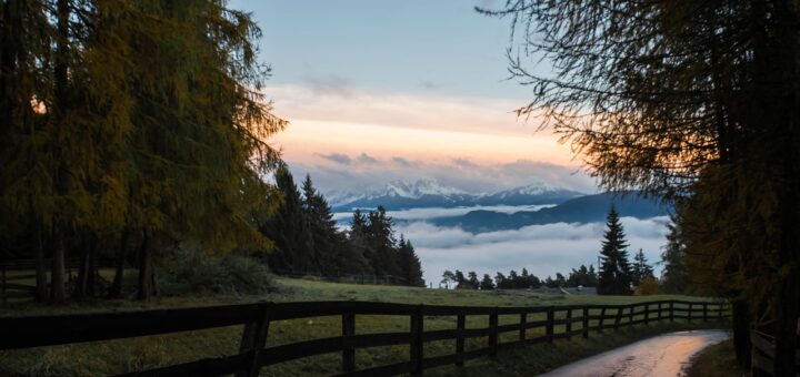 découvrez notre sélection de clôtures variées pour sécuriser et embellir votre espace extérieur. que ce soit pour le jardin, la terrasse ou la piscine, trouvez la clôture idéale qui allie qualité, durabilité et esthétisme.