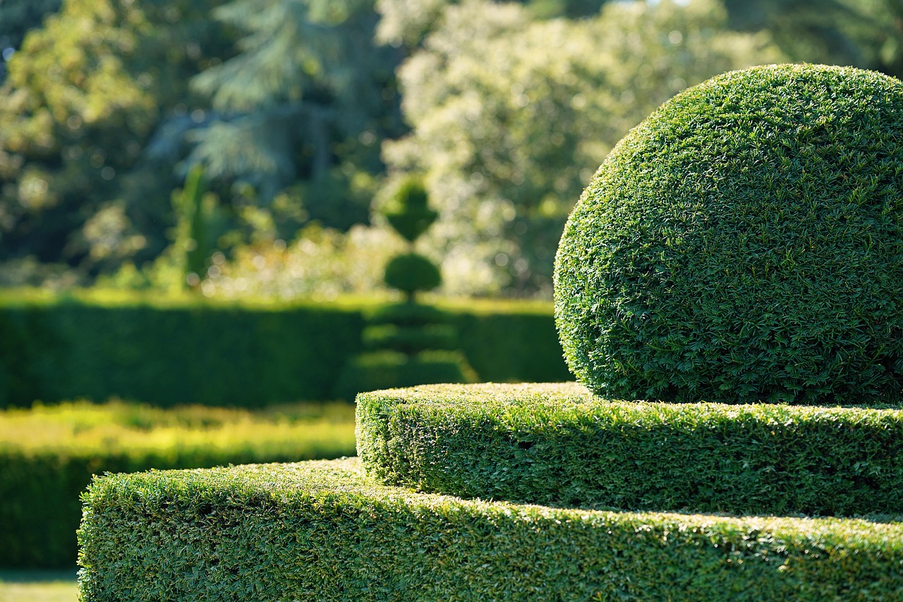 découvrez nos conseils et astuces pour réussir la taille des haies. apprenez les meilleures techniques et outils pour un jardin bien entretenu et esthétique.