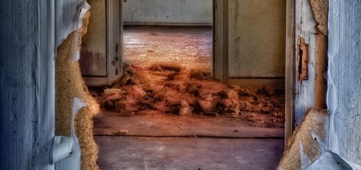 découvrez tout ce qu'il faut savoir sur la démolition : techniques, sécurité, réglementations et conseils pour mener à bien vos projets de démolition de bâtiments ou de structures.