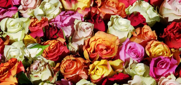 découvrez nos tarifs pour la décoration florale et trouvez des solutions adaptées à votre budget pour embellir vos événements avec élégance.