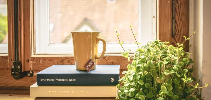 découvrez des plantes d'intérieur faciles à entretenir pour embellir votre maison sans effort. conseils et astuces pour réussir avec vos plantes faciles à vivre.