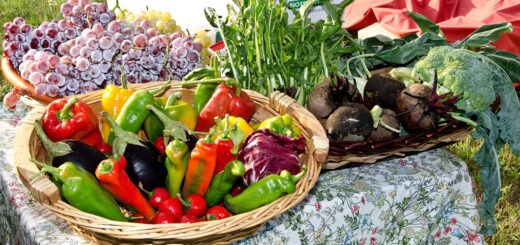 découvrez les astuces et conseils pour créer et entretenir un potager réussi, même en ville. cultivez vos légumes frais et naturels chez vous facilement.